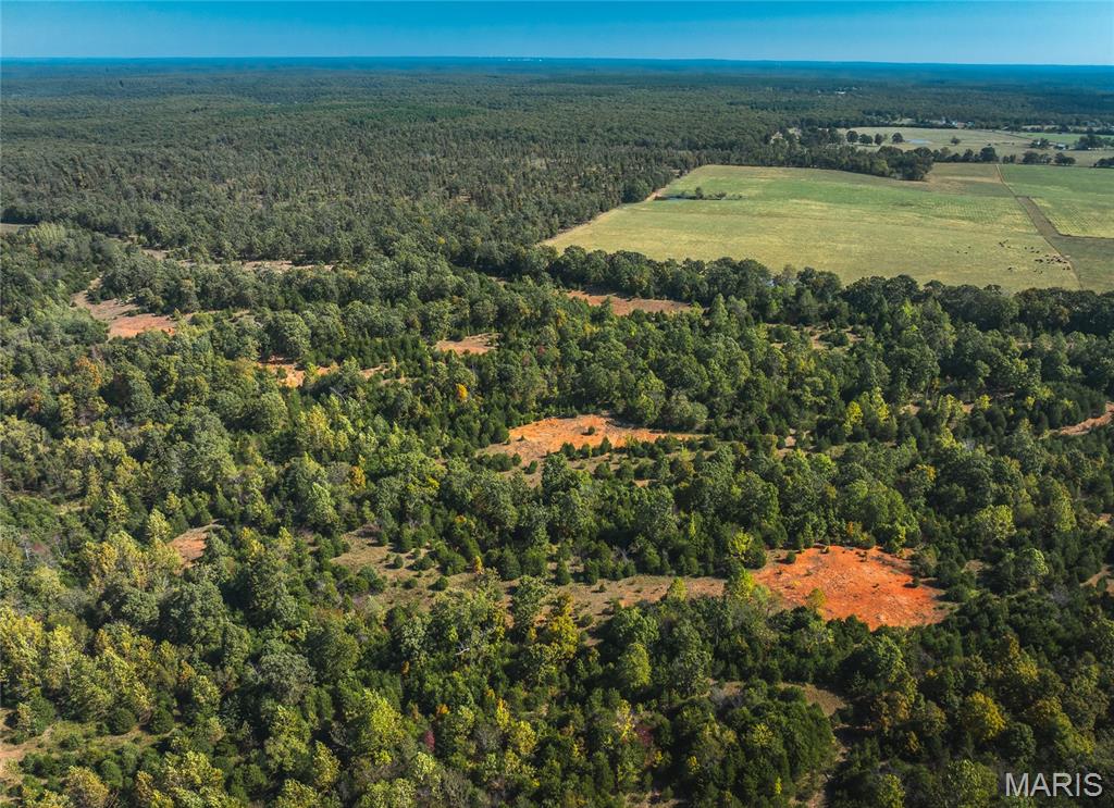 Lot 2 State Route J Property Photo 5