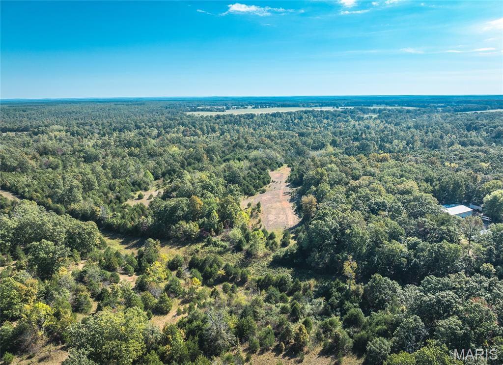 Lot 3 State Route J Property Photo 4