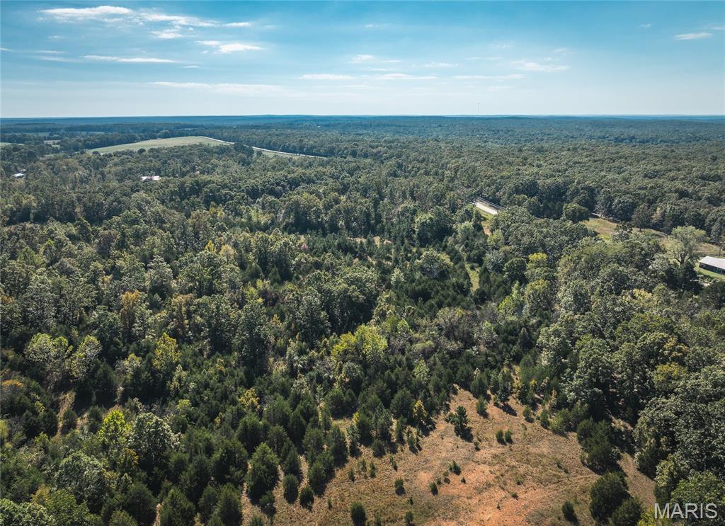 Lot 3 State Route J Property Photo 5