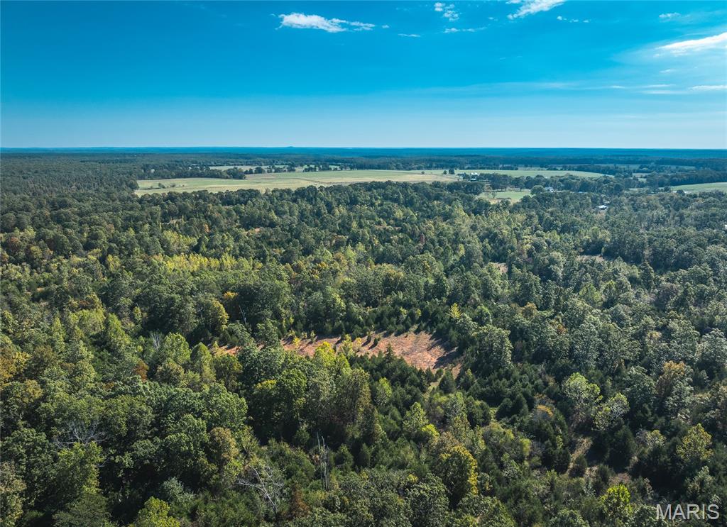 Lot 3 State Route J Property Photo 6