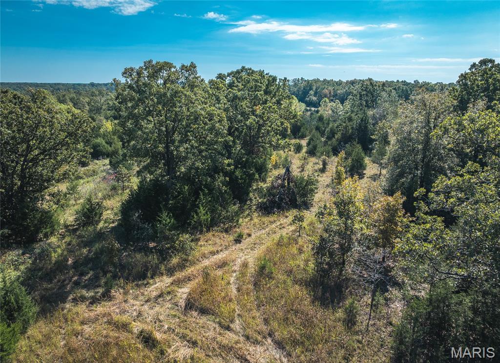 Lot 3 State Route J Property Photo 8