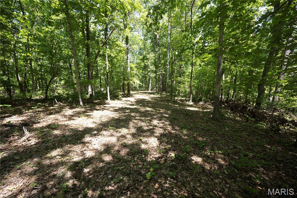 Tract 3 Bcr 930 Property Photo 3