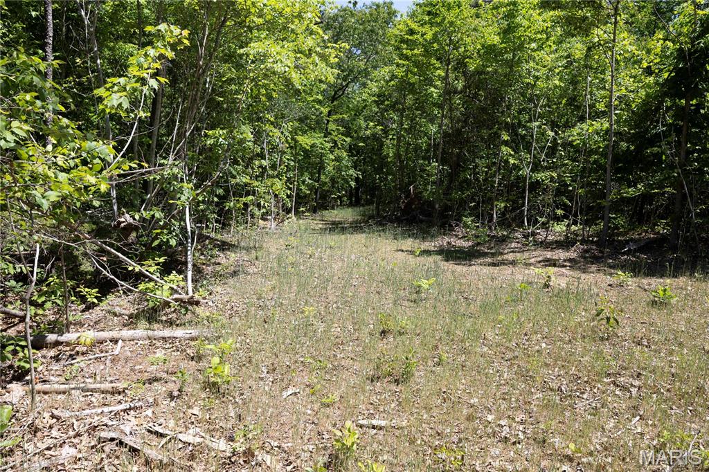 Tract 3 Bcr 930 Property Photo 11