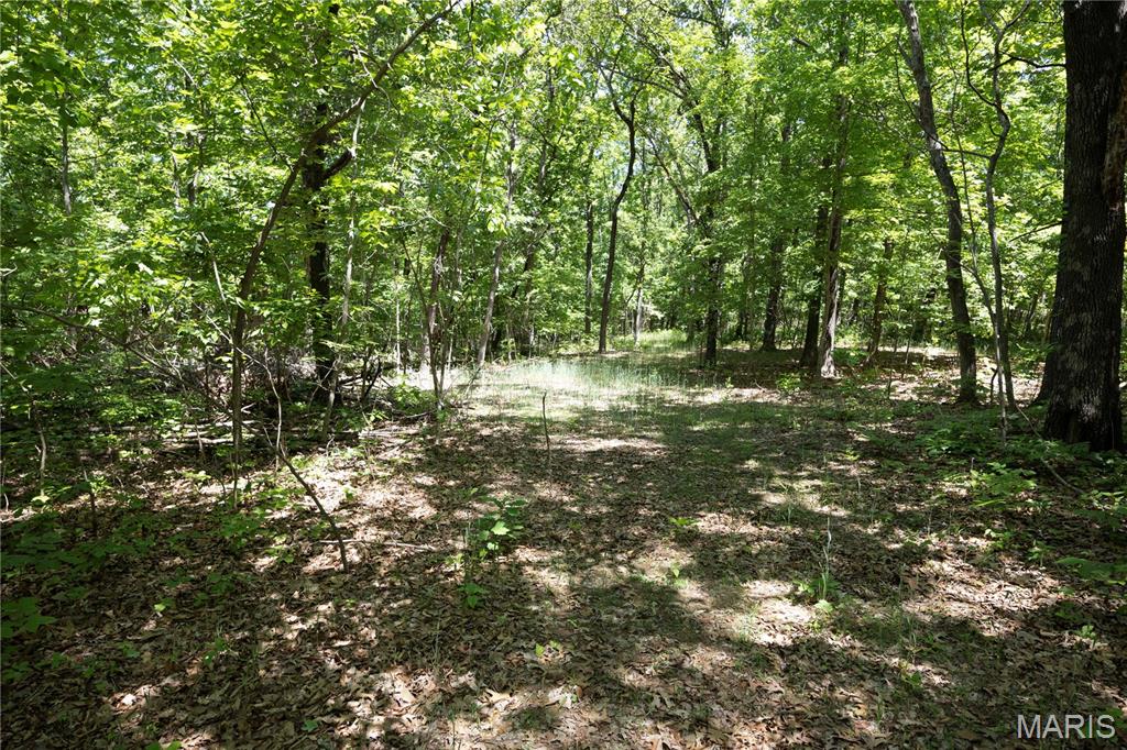 Tract 3 Bcr 930 Property Photo 12