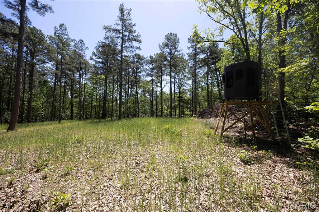 Tract 3 Bcr 930 Property Photo 13