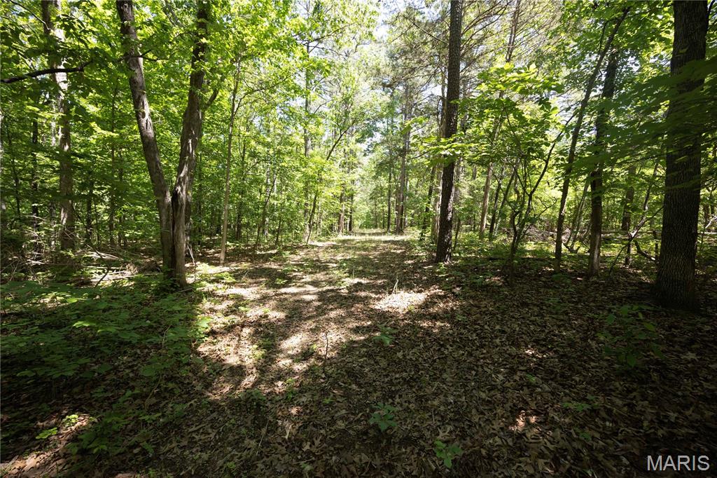 Tract 3 Bcr 930 Property Photo 14