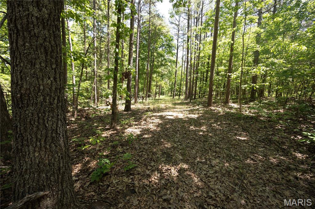 Tract 4 Bcr 930 Property Photo 1