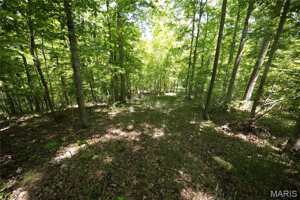 Tract 5 Bcr 930 Property Photo 1
