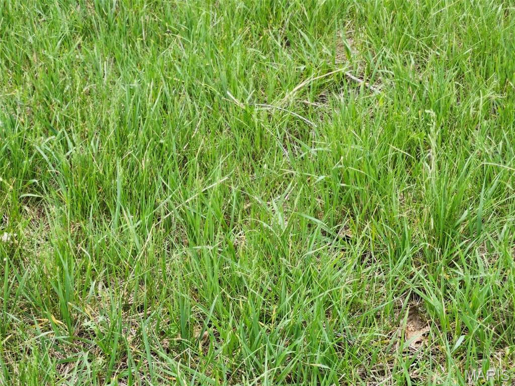 0 M- County Road 14-252 Property Photo 4