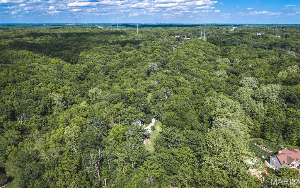 19217 &19209 Falzone Road Property Photo 6