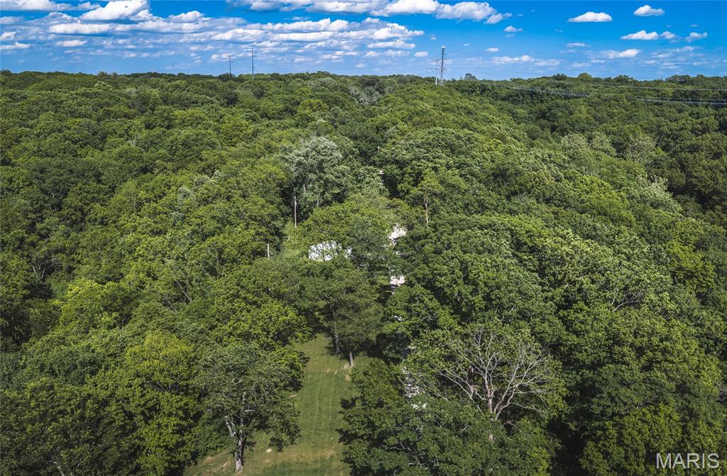 19217 &19209 Falzone Road Property Photo 8
