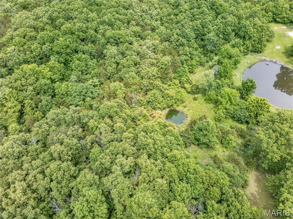 1444 Yellow Rock Property Photo 15