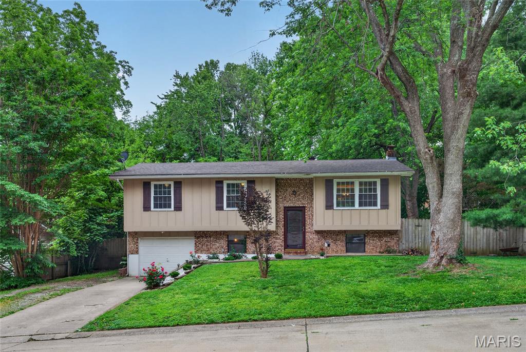 819 Odus Drive