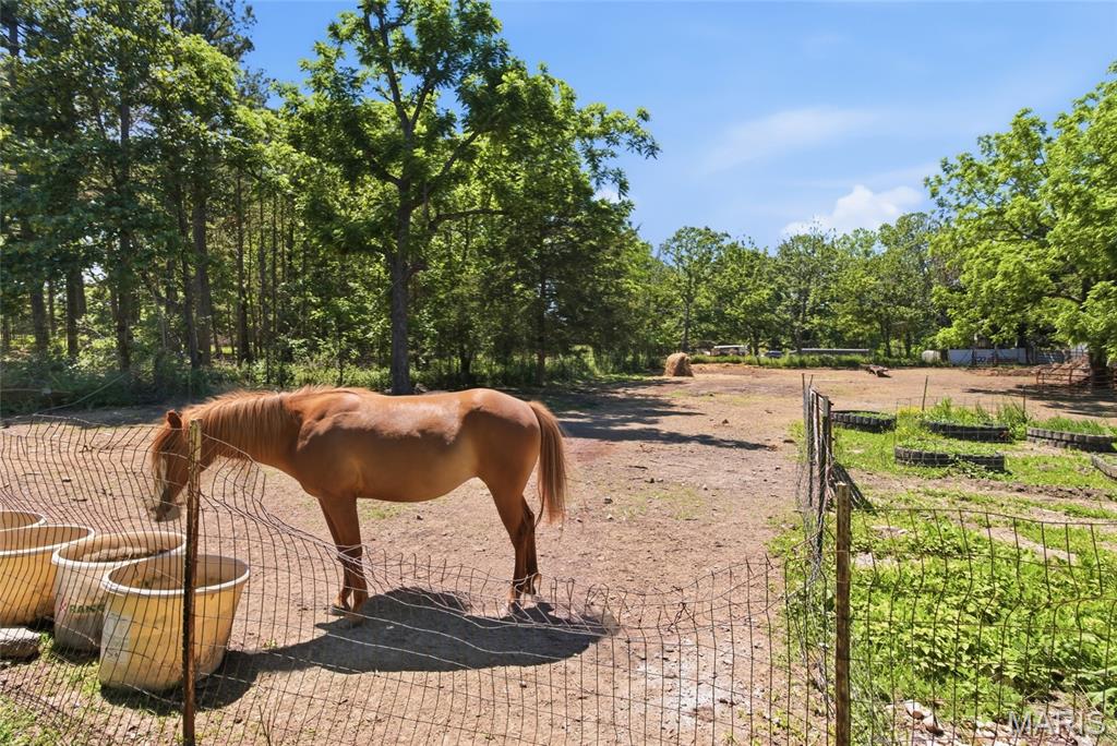210 County Road 320 Property Photo 52