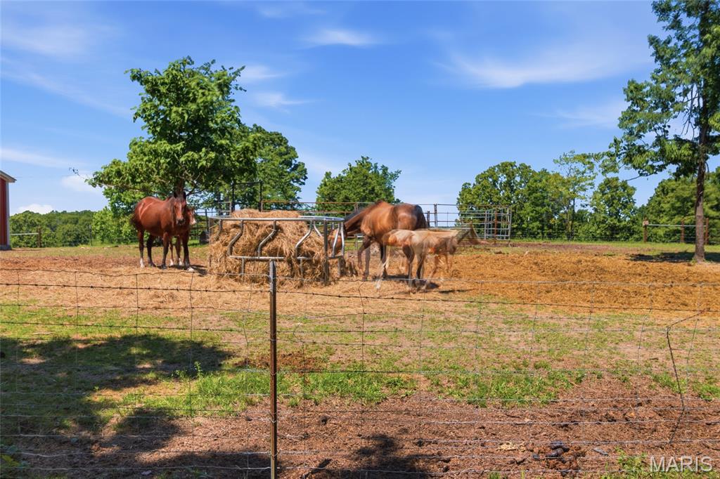210 County Road 320 Property Photo 59