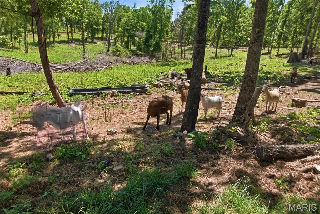 210 County Road 320 Property Photo 60