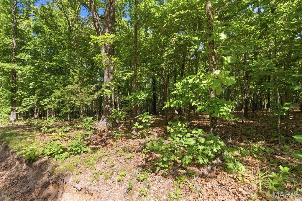 210 County Road 320 Property Photo 84