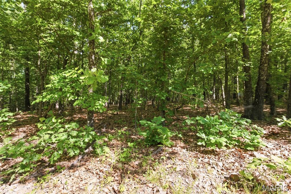 210 County Road 320 Property Photo 85