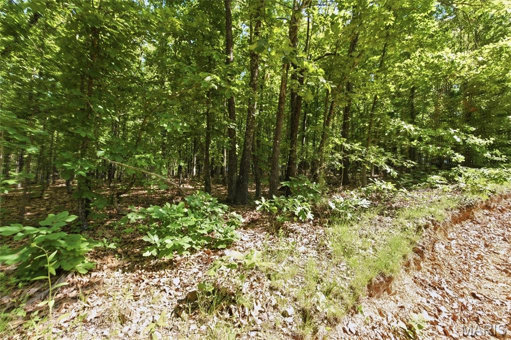 210 County Road 320 Property Photo 86