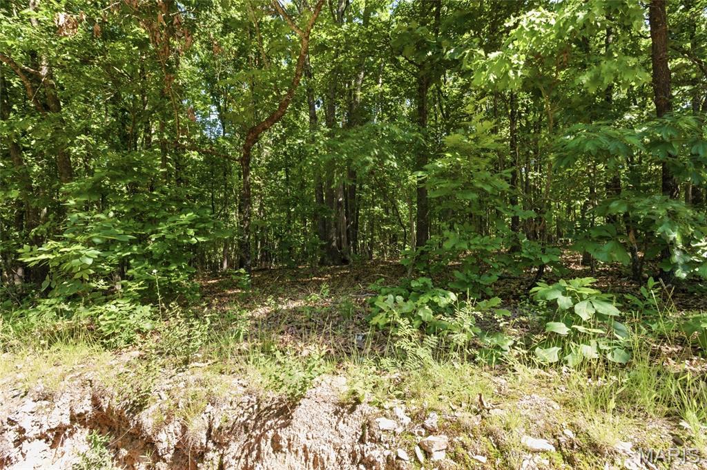 210 County Road 320 Property Photo 89