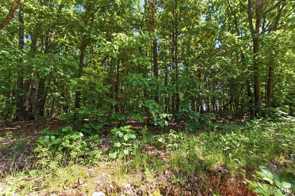 210 County Road 320 Property Photo 90