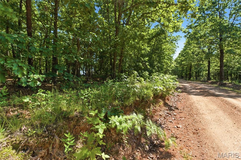 210 County Road 320 Property Photo 91