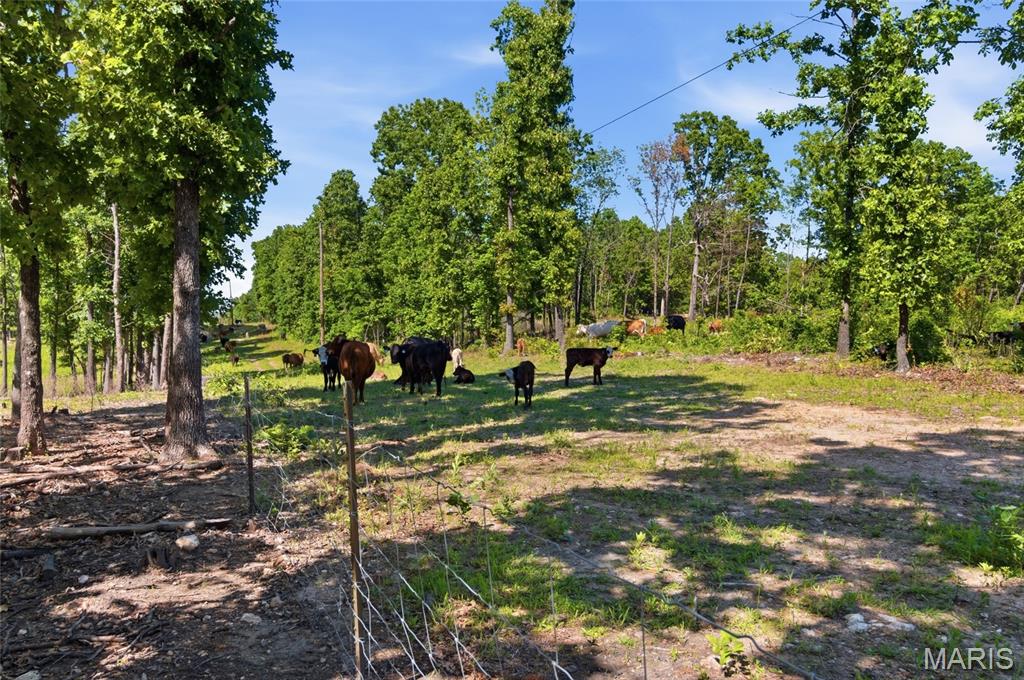 210 County Road 320 Property Photo 94