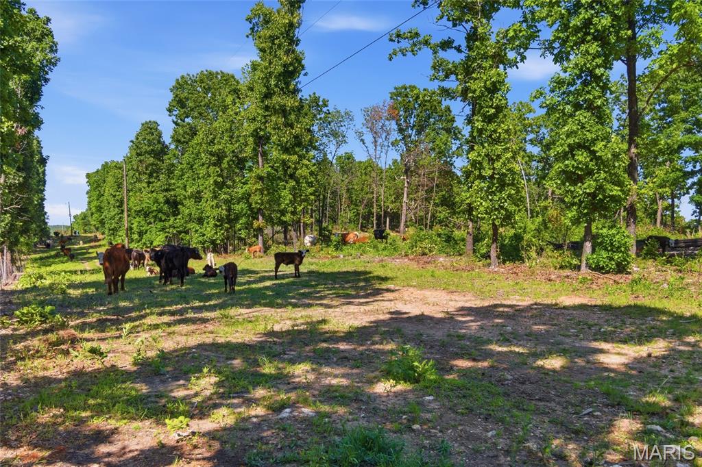 210 County Road 320 Property Photo 95