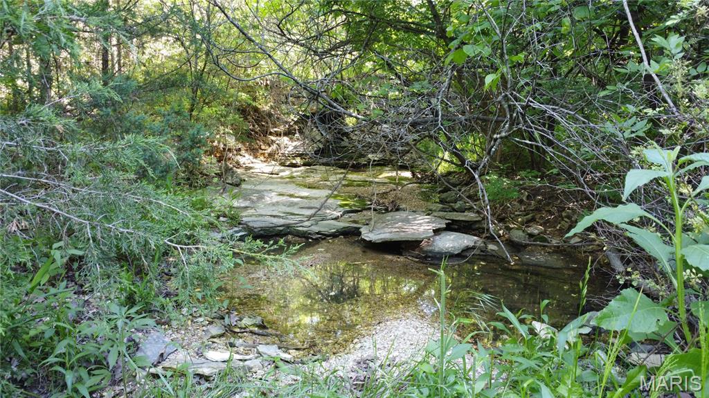 13505 State Rd E Road Property Photo 29