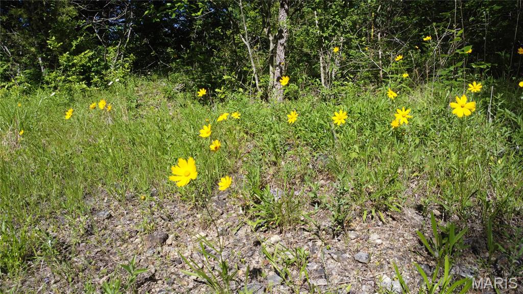 13505 State Rd E Road Property Photo 30