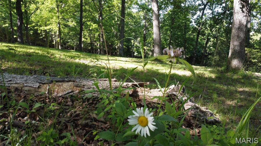 13505 State Rd E Road Property Photo 36
