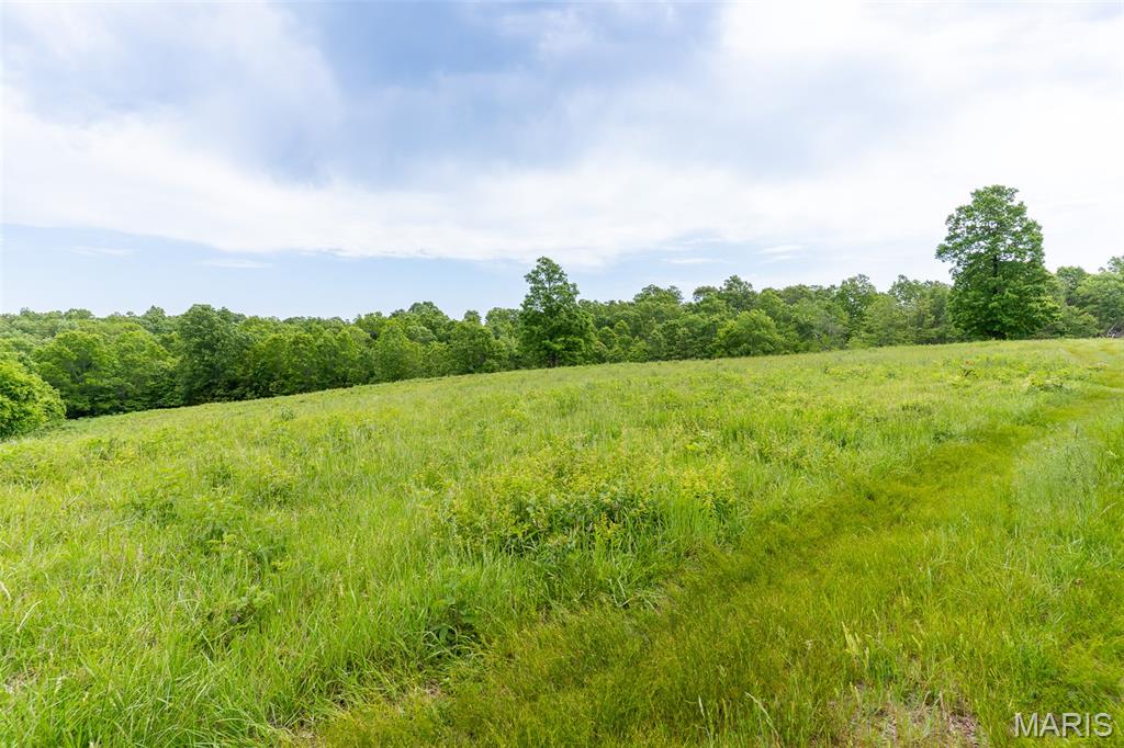 0 Top Ozark Road Property Photo 3
