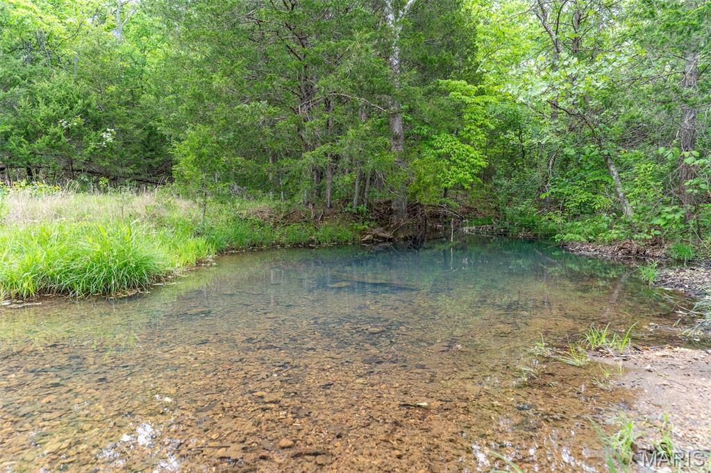 0 Top Ozark Road Property Photo 4