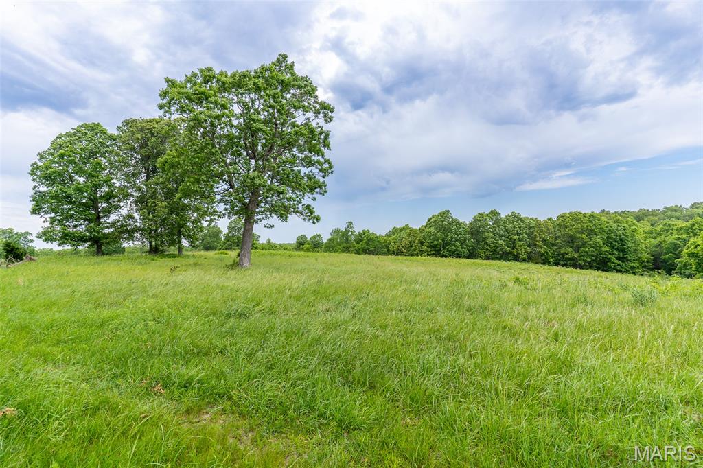 0 Top Ozark Road Property Photo 5