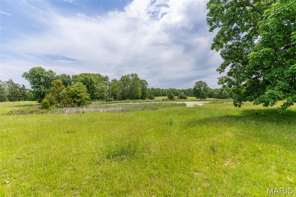 0 Top Ozark Road Property Photo 6