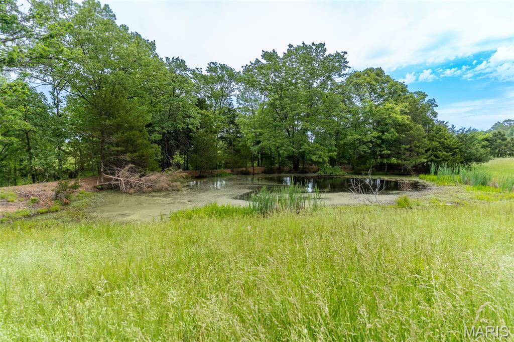 0 Top Ozark Road Property Photo 9