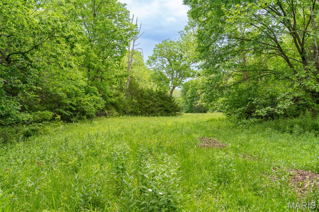 0 Top Ozark Road Property Photo 11