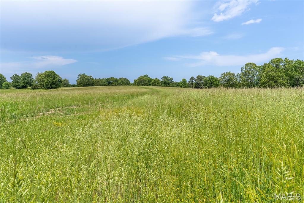 0 Top Ozark Road Property Photo 12