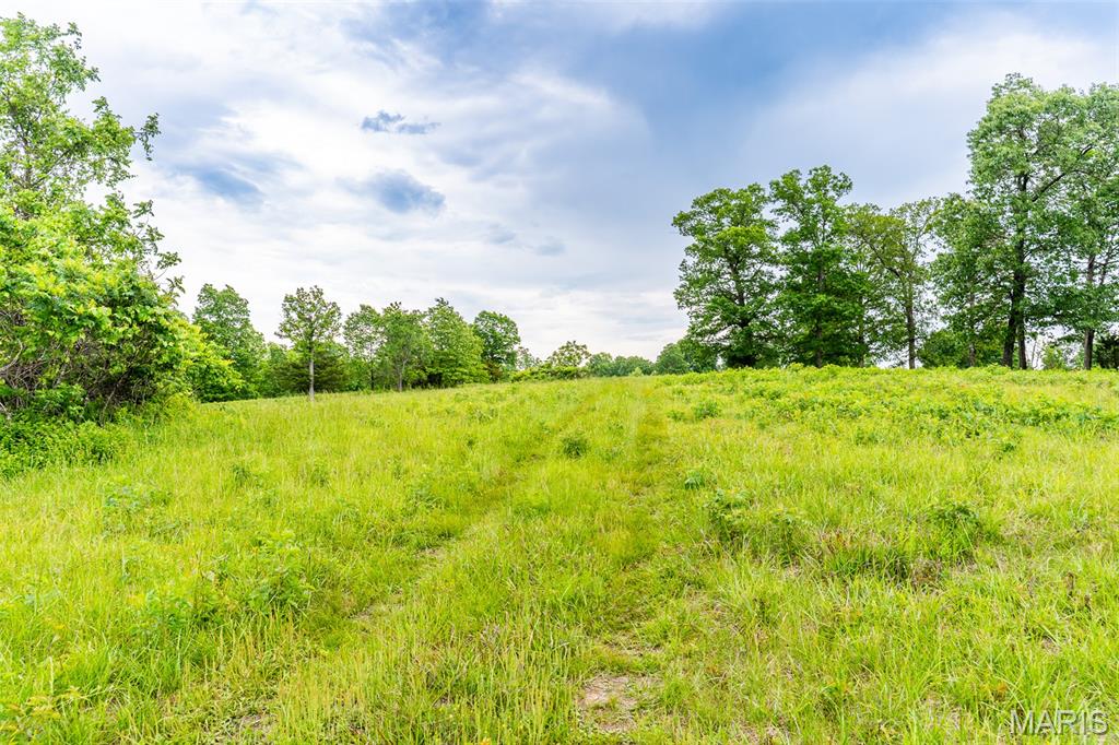 0 Top Ozark Road Property Photo 13