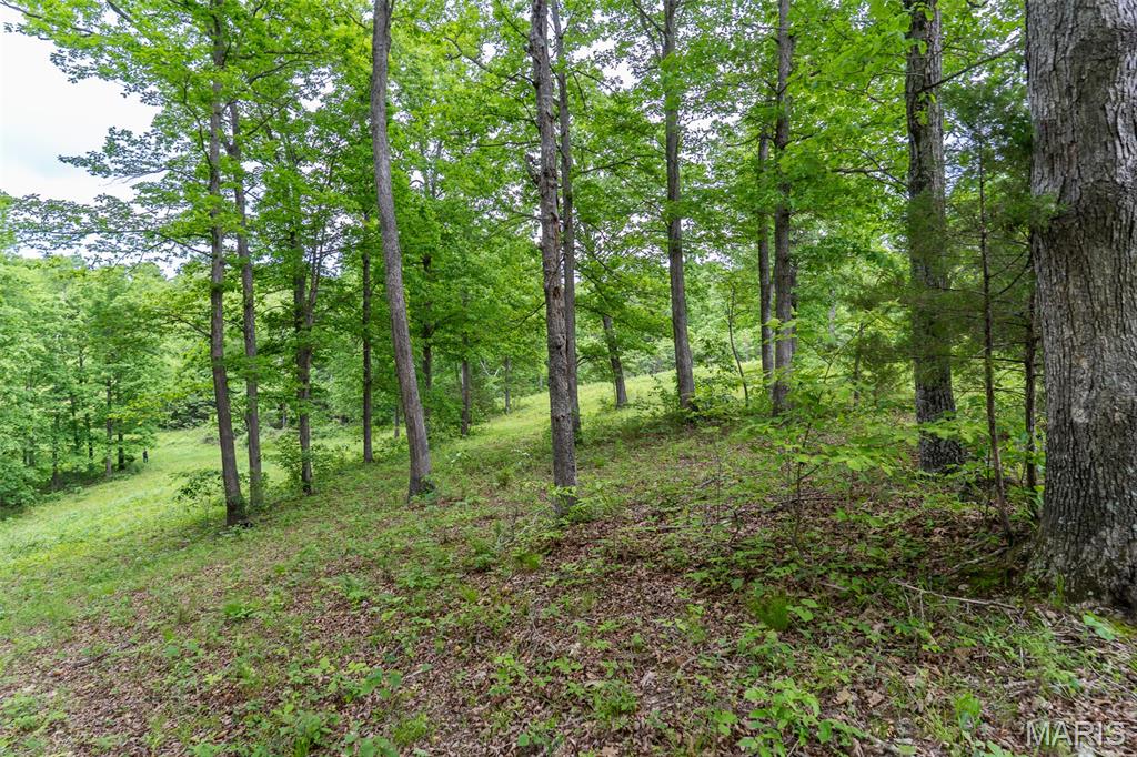 0 Top Ozark Road Property Photo 14