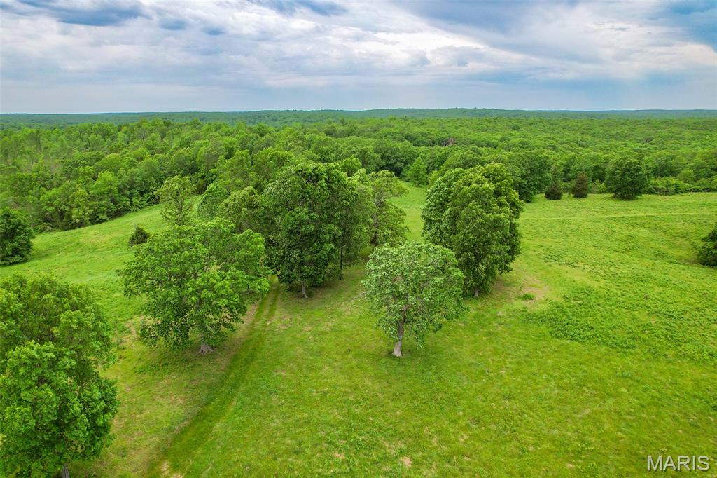 0 Top Ozark Road Property Photo 18