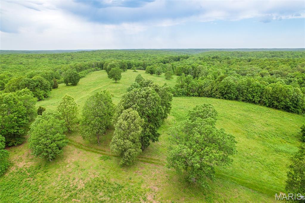 0 Top Ozark Road Property Photo 19