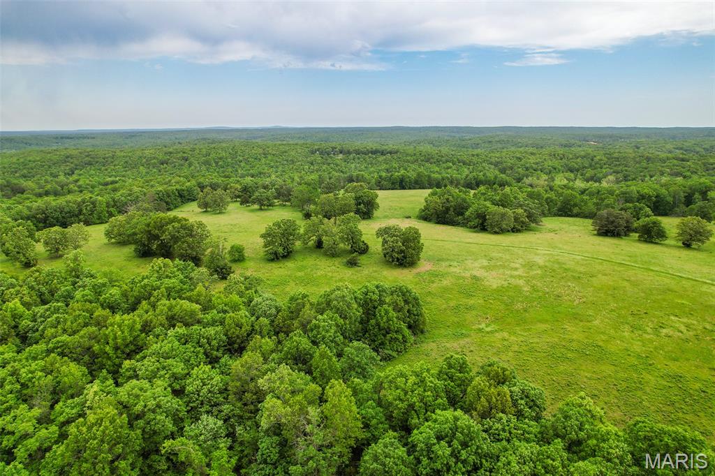 0 Top Ozark Road Property Photo 20
