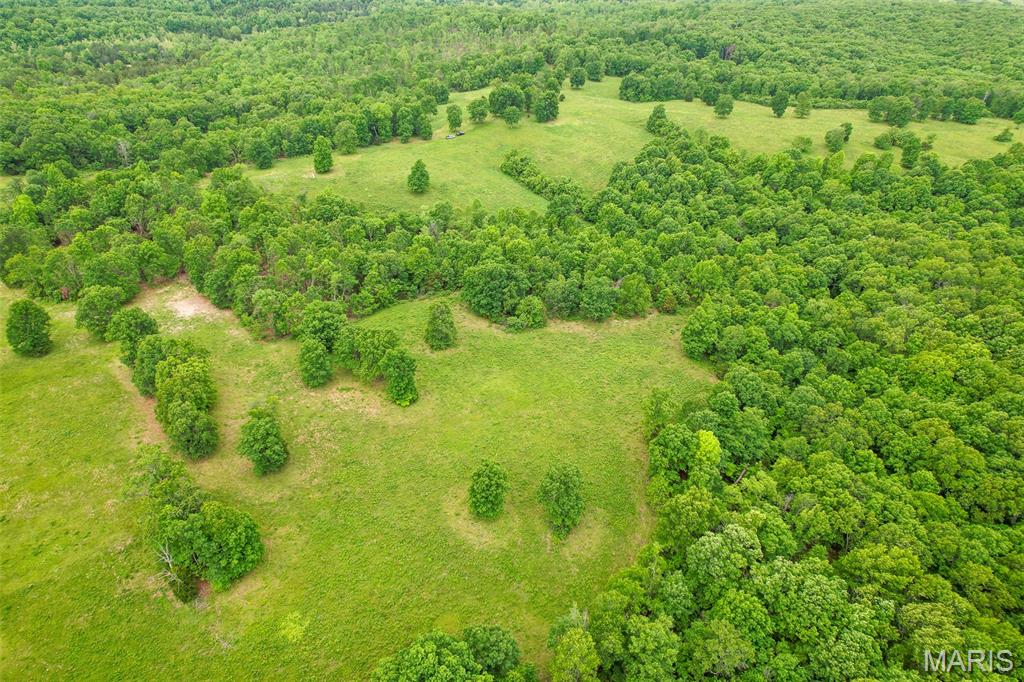 0 Top Ozark Road Property Photo 21