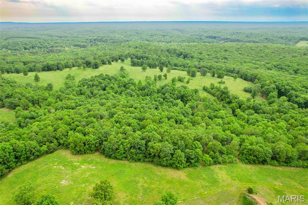 0 Top Ozark Road Property Photo 24
