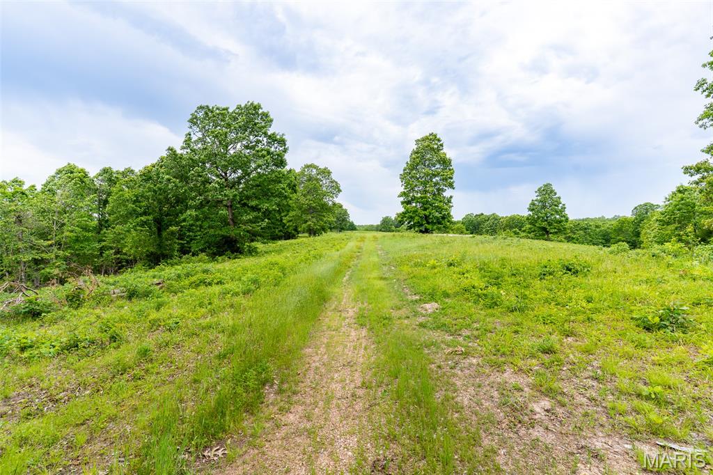 0 Top Ozark Road Property Photo 26