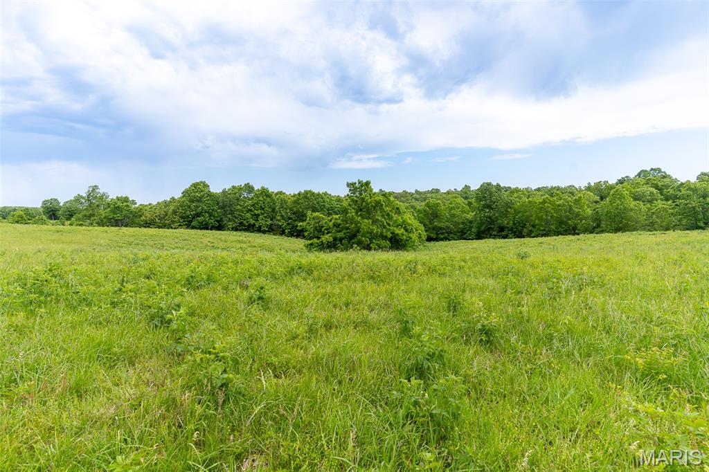 0 Top Ozark Road Property Photo 27