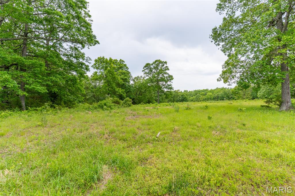 0 Top Ozark Road Property Photo 28