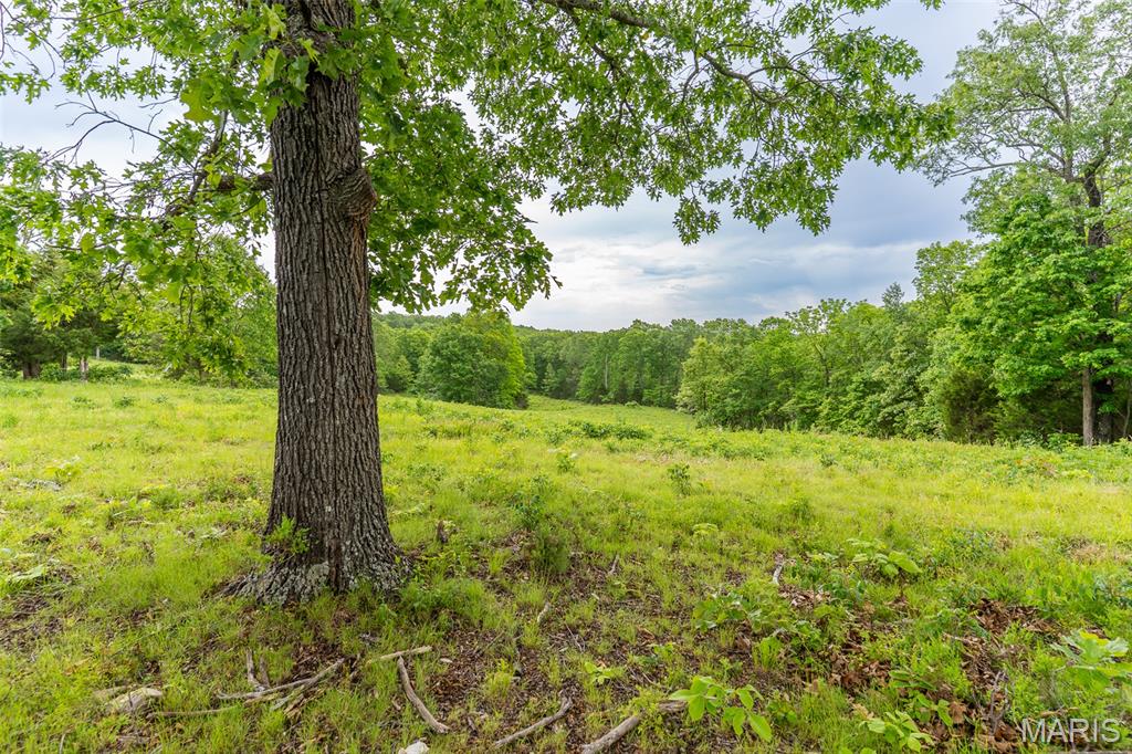 0 Top Ozark Road Property Photo 31