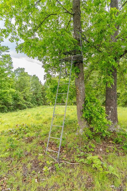 0 Top Ozark Road Property Photo 32